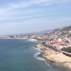 Meet your Posher, Phoebe